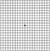 Amsler grid