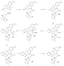 Vitamin B12 total synthesis