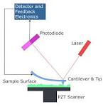 Atomic force microscope