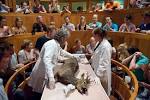 Het Nederlandsch Historisch Natuurwetenschappelijk Museum