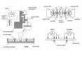 sucrose gap