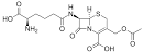 Cephalosporin C